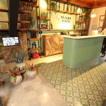 Hostal Pajara Pinta Cali Bagian luar foto